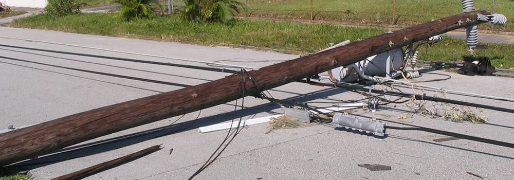 Downed power line